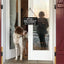 Letrero puerta perro 12x6" decoración hogar