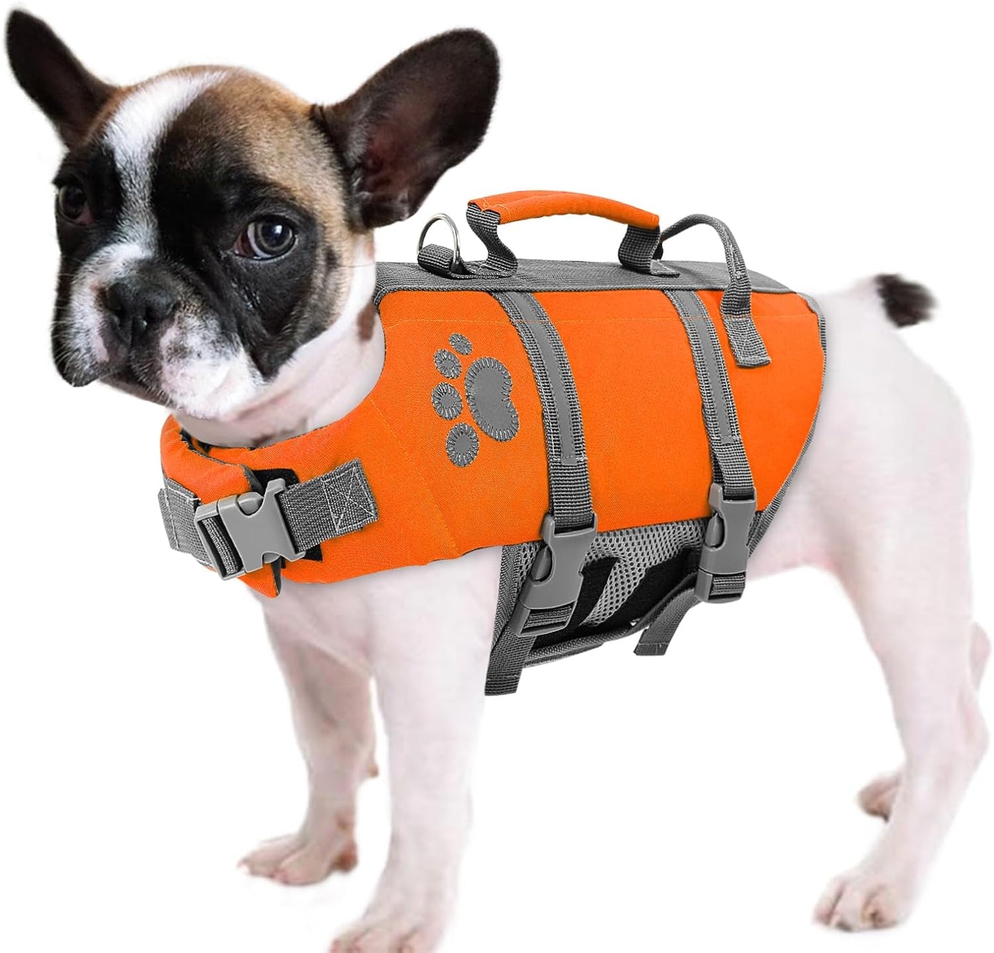Chaleco salvavidas para perros pequeños ligero con asa