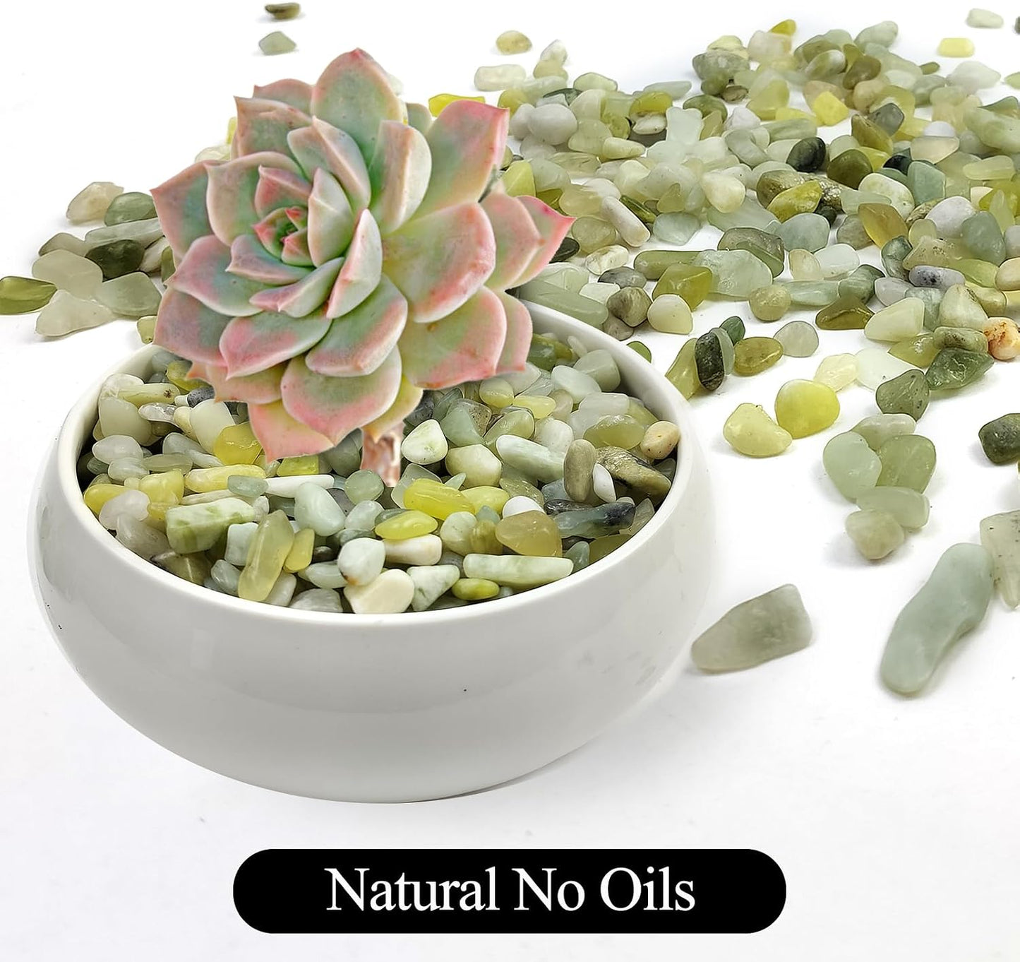 Piedras jade decorativas 3/8" para macetas interiores