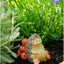 Coma miniatura para jardín hadas y terrario manzanas