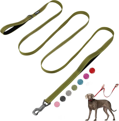 Correa perro 10ft 2 asas acolchadas reflectante