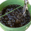 Cafetera té compost gusanos aireador 5gal con bomba