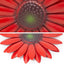 Arte pared metal flores girasol rojo para colgar