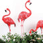 3 Pzas Estatuas Flamencos Metal Exteriores Decoración Jardín