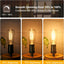 4 Pzas Bombilla LED Edison ST58/ST19 6W 2700K Regulable