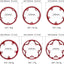Plato bicicleta carretera 38t a 60t anillo cadena 8-12 vel