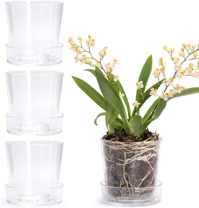 Maceta acrílico transparente 3.5" con bandeja orquídea