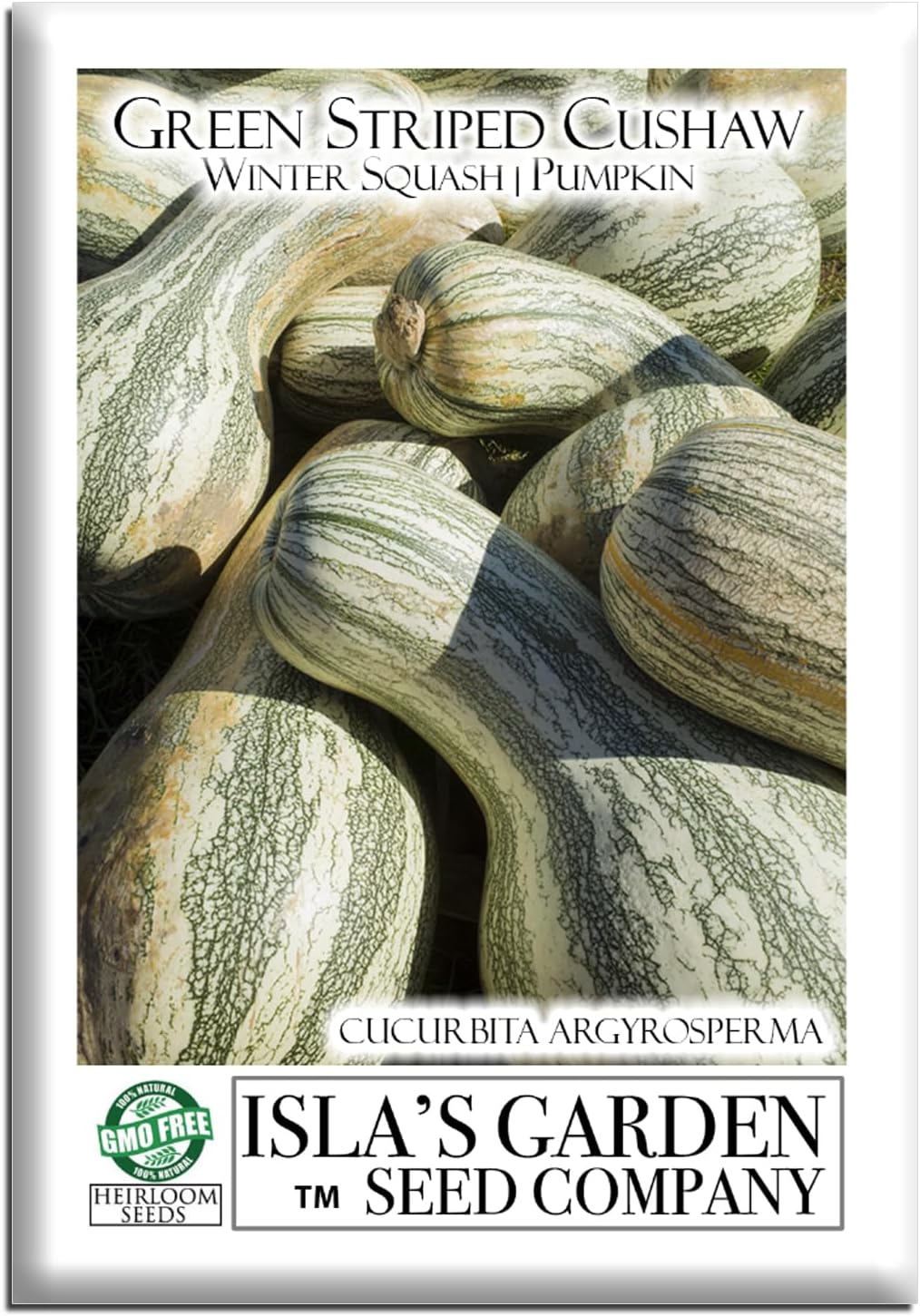 Semillas calabaza Cushaw a rayas verdes 25 unidades sin OMG
