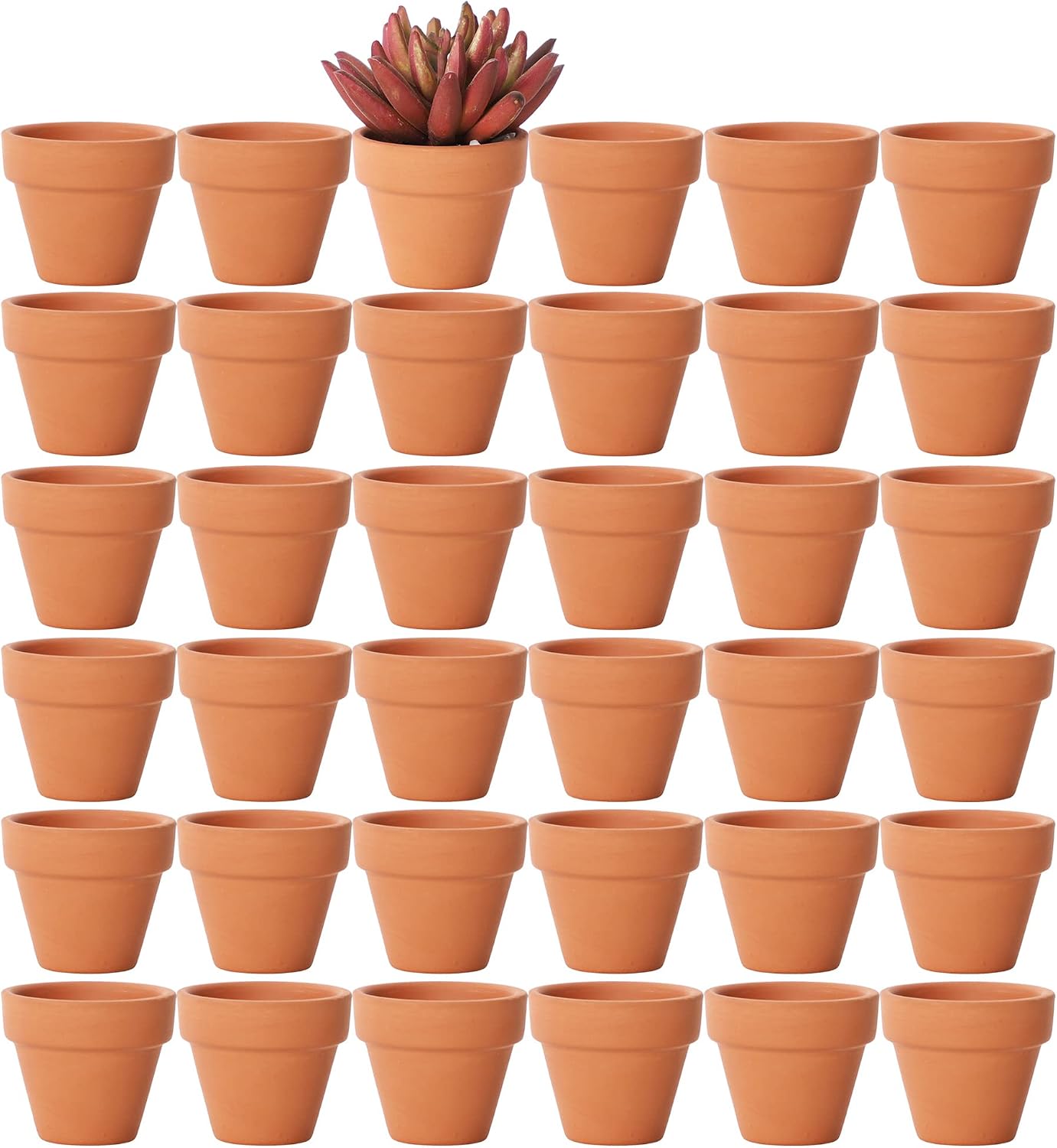 Macetas terracota 1.9pulg set 36 con agujeros cactus suculentas