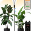 Lámpara cultivo interior 48W espectro completo 47-70pulg