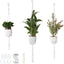 3 Colgadores Macramé para Plantas 35-47pulg Cesta Bohemia