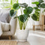 Maceta cerámica 10pulg platillo para plantas interior exterior blanco
