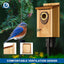 Casas para pájaros de madera premium para exteriores