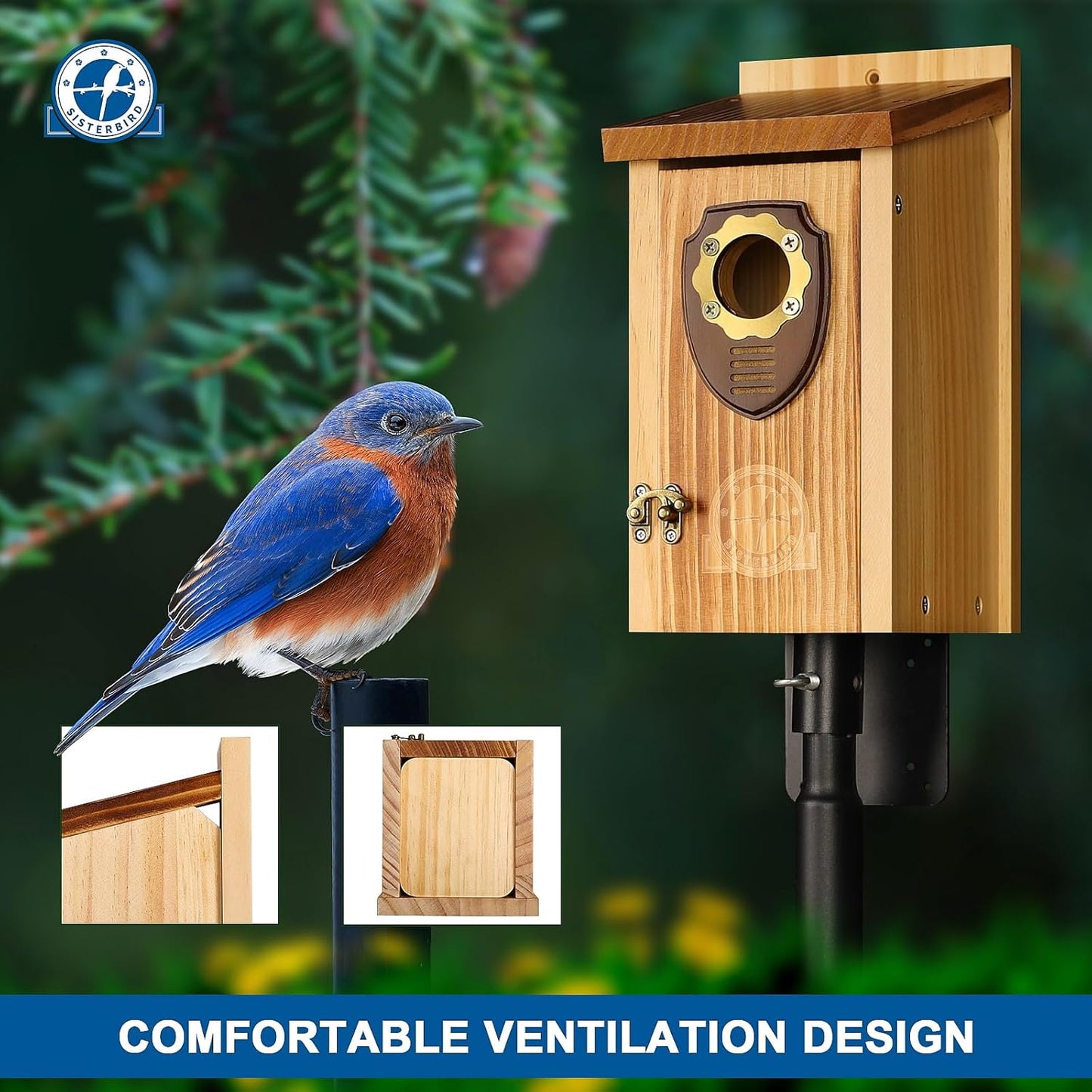 Casas para pájaros de madera premium para exteriores