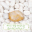 Rocas blancas naturales de río 20lb para jardín y decoración
