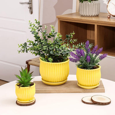 Macetas cerámica amarilla con platillos set 3