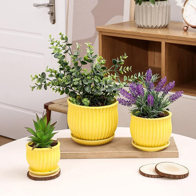 Macetas cerámica amarilla con platillos set 3