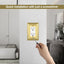 Placa latón dorado para enchufe y interruptor set 6