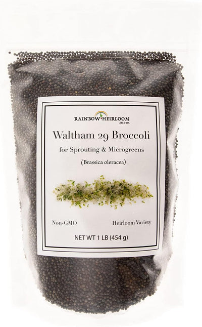 Semillas brócoli germinado Waltham 29 sin OMG bolsa 16oz