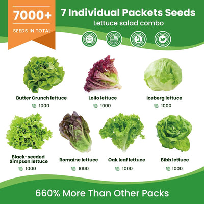 7 Pzas Semillas Lechuga Orgánica 7 Variedades Hidroponía