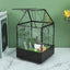 Terrario cristal bandeja metal suculentas reptiles 5.9x5.9x10.2pulg