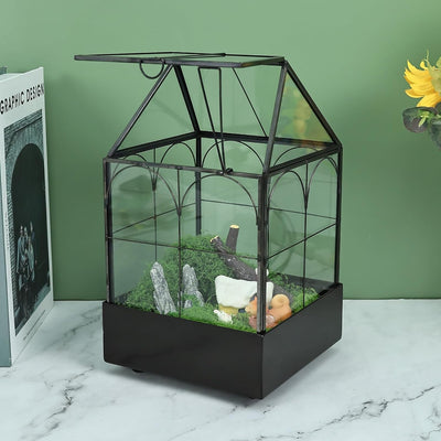 Terrario cristal bandeja metal suculentas reptiles 5.9x5.9x10.2pulg