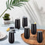 6 Vases Champán Doble Aislamiento Tapa 6oz Negro Reutilizables