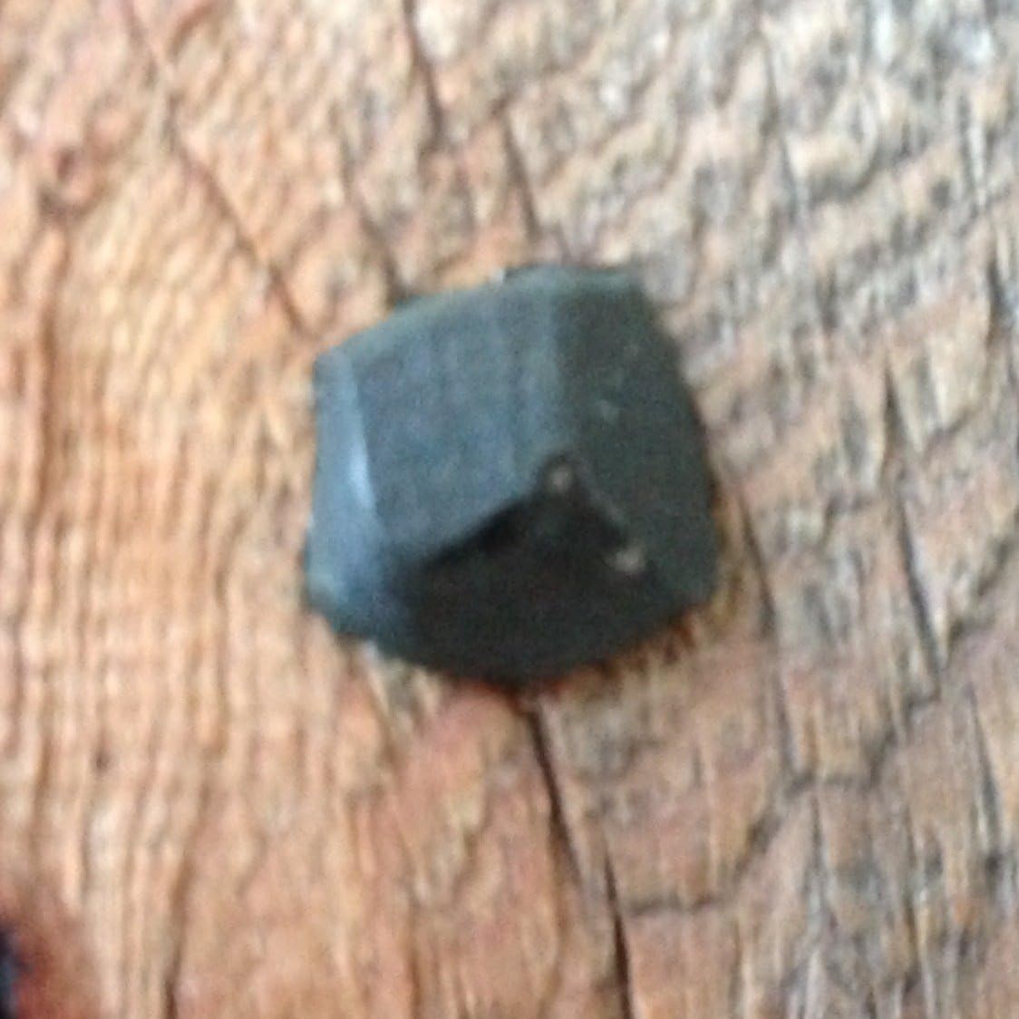 Cabeza forjada 3pulg clavos 1libra