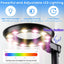 Kit terrario Venus con luz y soporte metal plantas