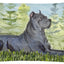 Almohada decorativa lona lavable 12x16 para sofá cama patio