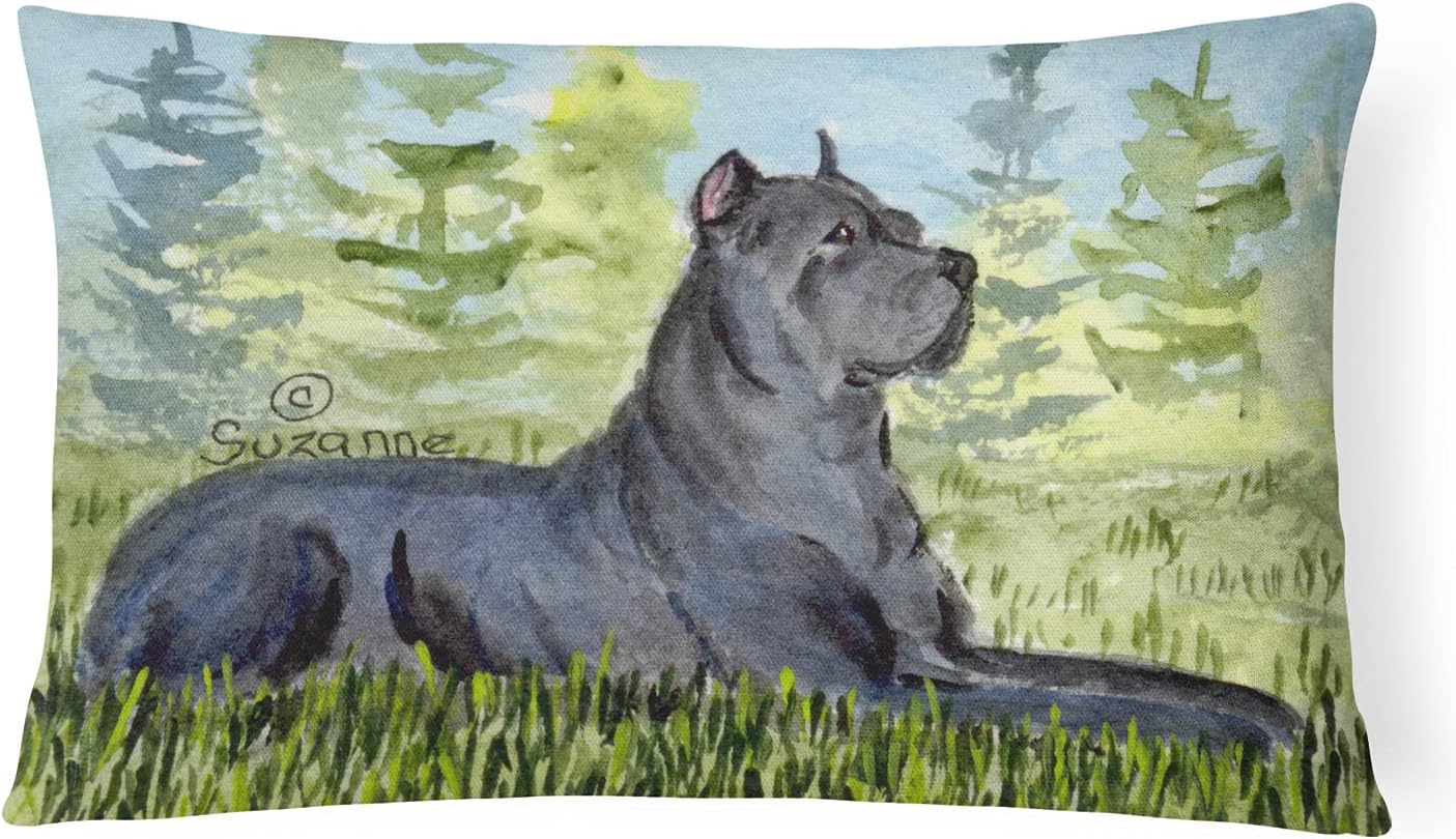 Almohada decorativa lona lavable 12x16 para sofá cama patio