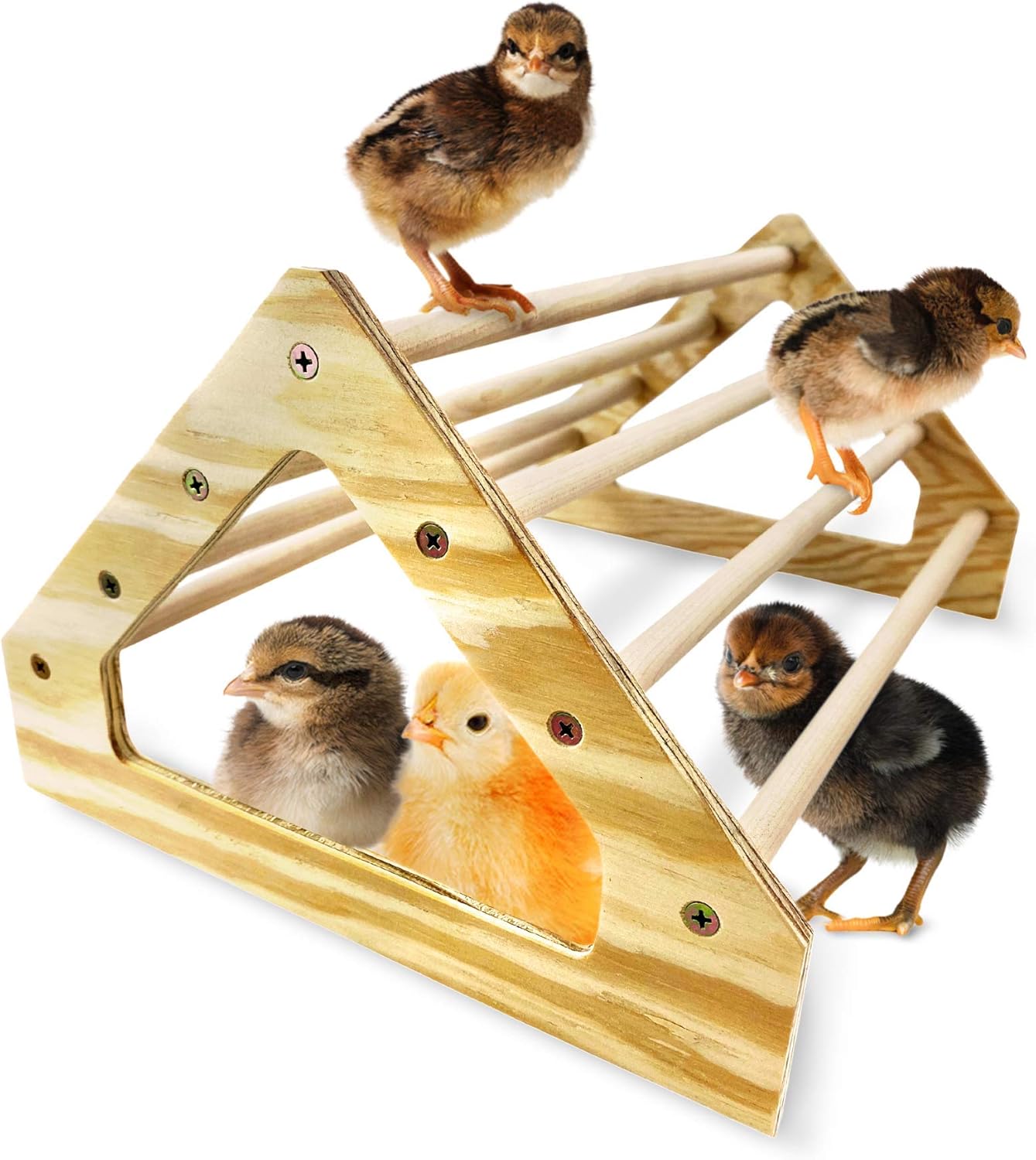 Percha pollitos dormidero madera hecho EE.UU gallinero