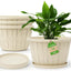 Maceta plástico 14" set 4 con platillo blanco
