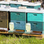 Alimentador colmena metal tapa herramienta agua abeja repuesto