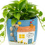 Regalo planta apartamento maceta 3d pintada a mano 5.3pulg