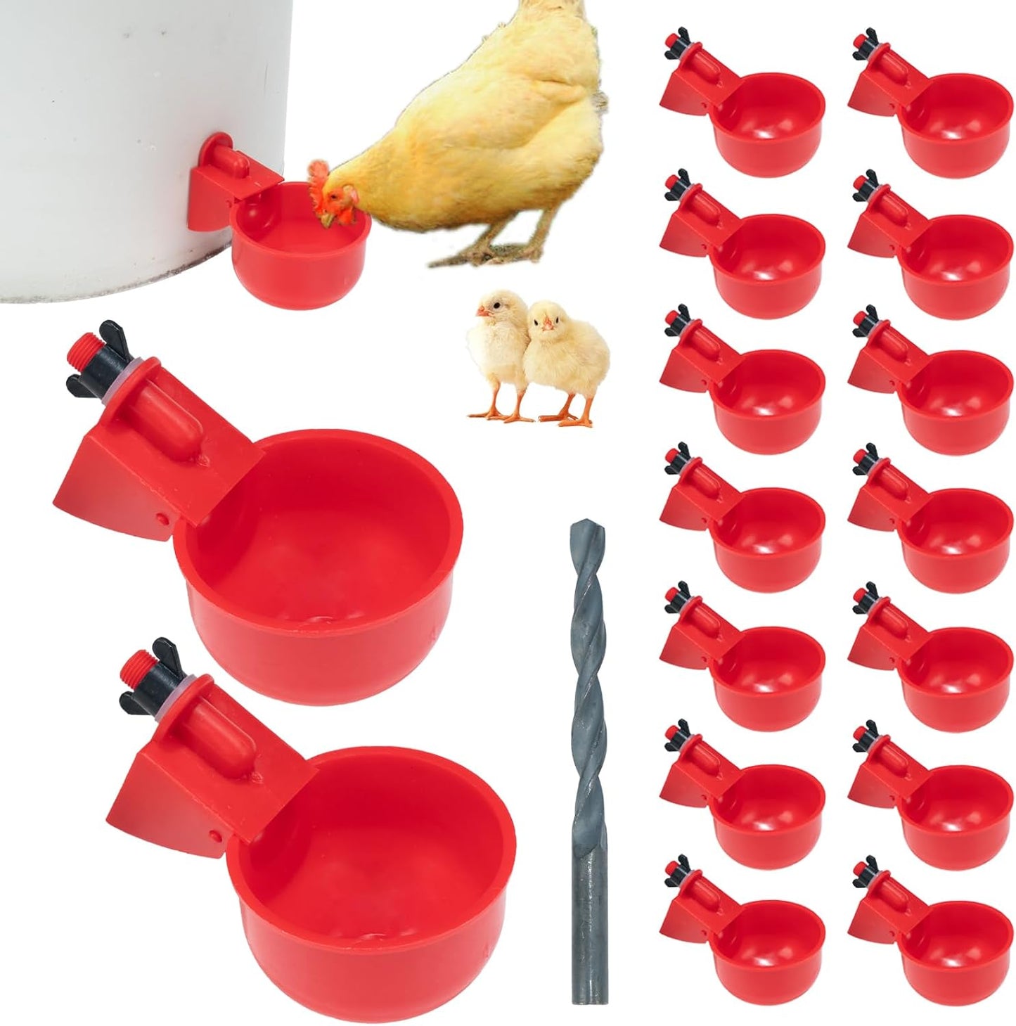 Set 16 Bebedores Automáticos para Aves con Taladro