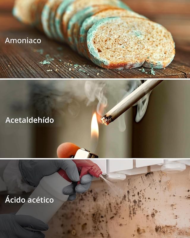 Filtro purificador aire COWAY AP-1512HH HEPA