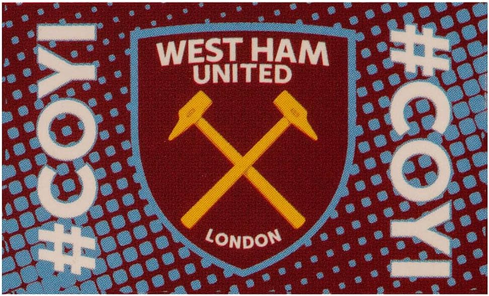 Bandera EPL Come On You Irons 5x3pies