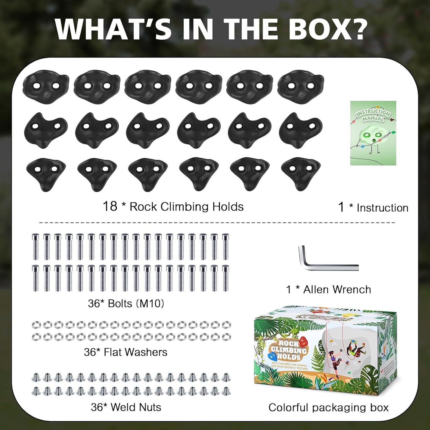 Kit 18 Pzas Agarres Escalada Niños para Interior y Exterior