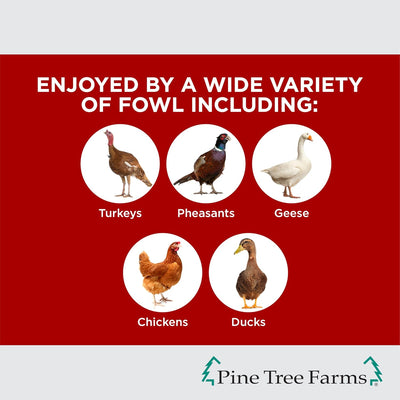 Alimento para aves con gusanos y cacahuetes 28oz pack 3