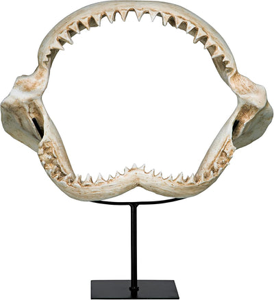Estatua Tiburón Mandíbulas Dentadas