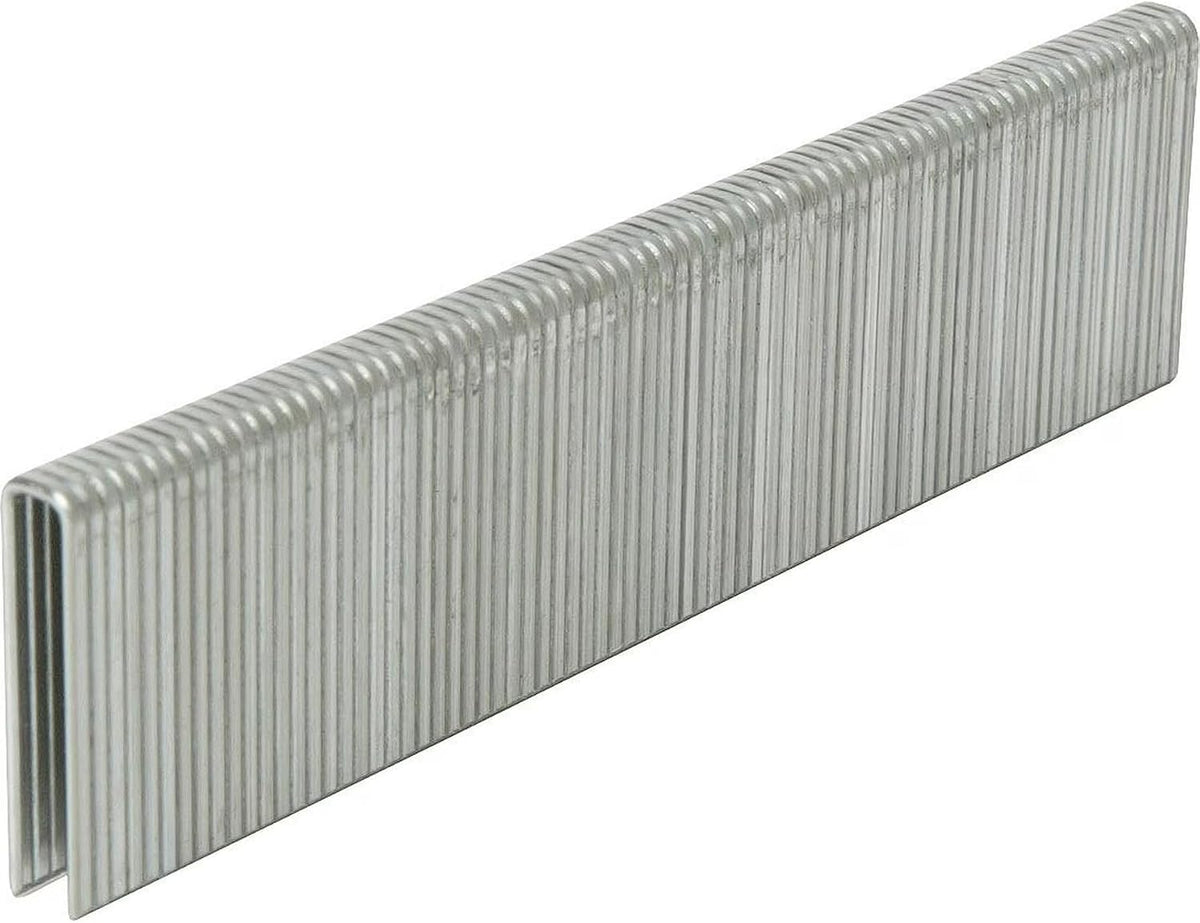 Grapas electro galvanizado 1/4x1-1/4 5000uds