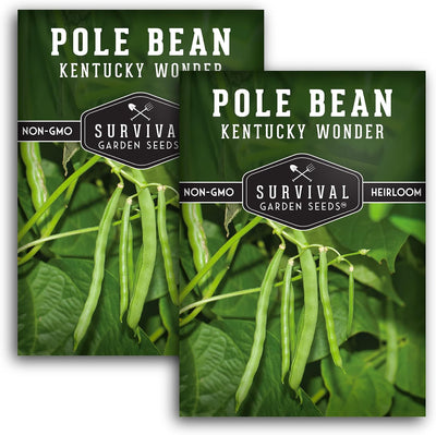 Semillas Frijol Trepador Kentucky Wonder 2 Pack
