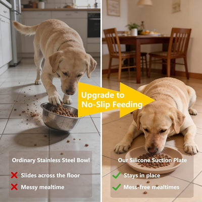 Cuenco antideslizante para gatos y perros de silicona