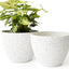 Macetas plástico blanco moteado set 2 19cm