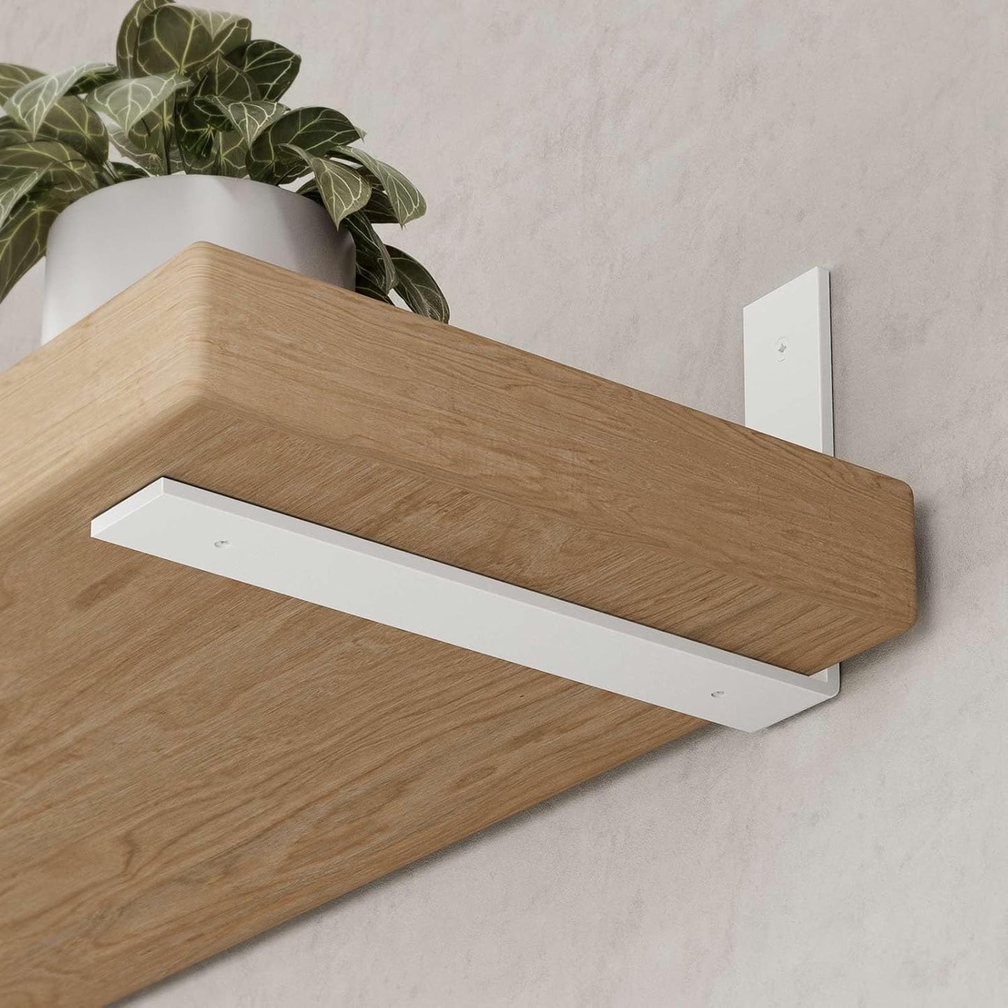 Soporte estante L metal 8pulg pack 6
