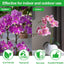 50 Pzas Clips para Plantas Orquídeas y Trepadoras
