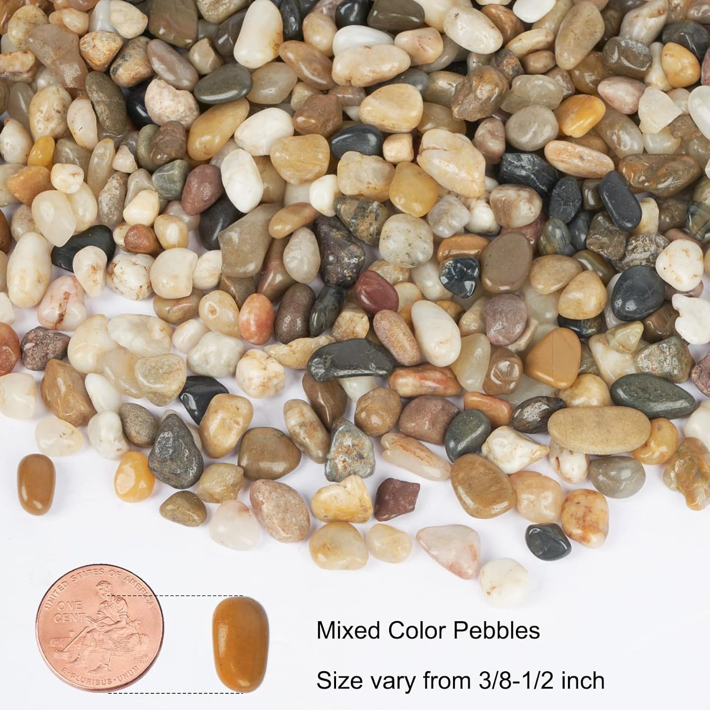 Piedras 10lb decorativas 3/8" para jarrón suculentas