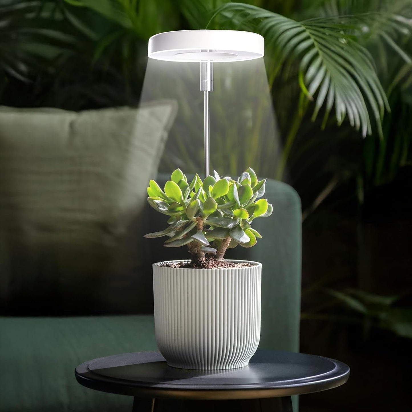 Luz crecimiento plantas interiores espectro completo 3/9/12h