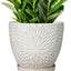 Maceta cerámica 10pulg platillo para plantas interior exterior blanco